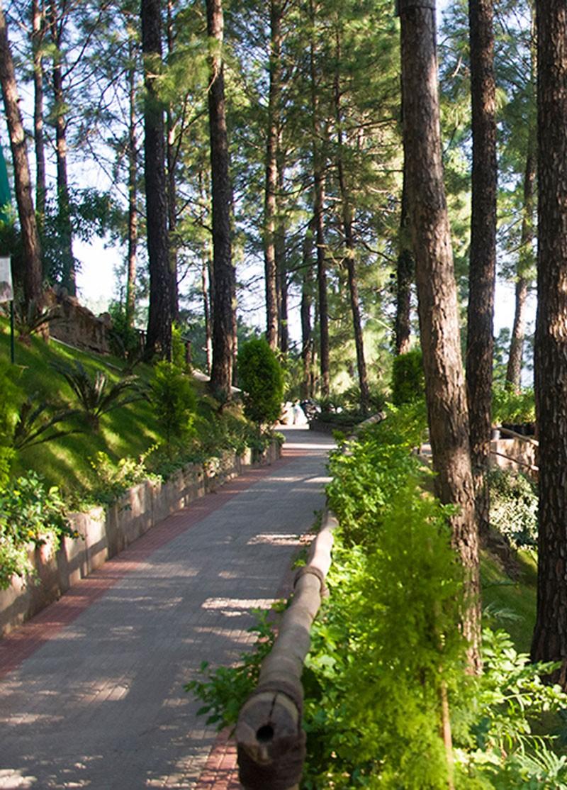 kasauli-hills-resort-premium-activities-attractions-rooms-cottages-resort-hotels-villas-accommodation-activities-nearby-places