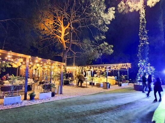 kasauli-hills-resort-cottage-rooms-resorts-hottels-villas-accommodation-celebration