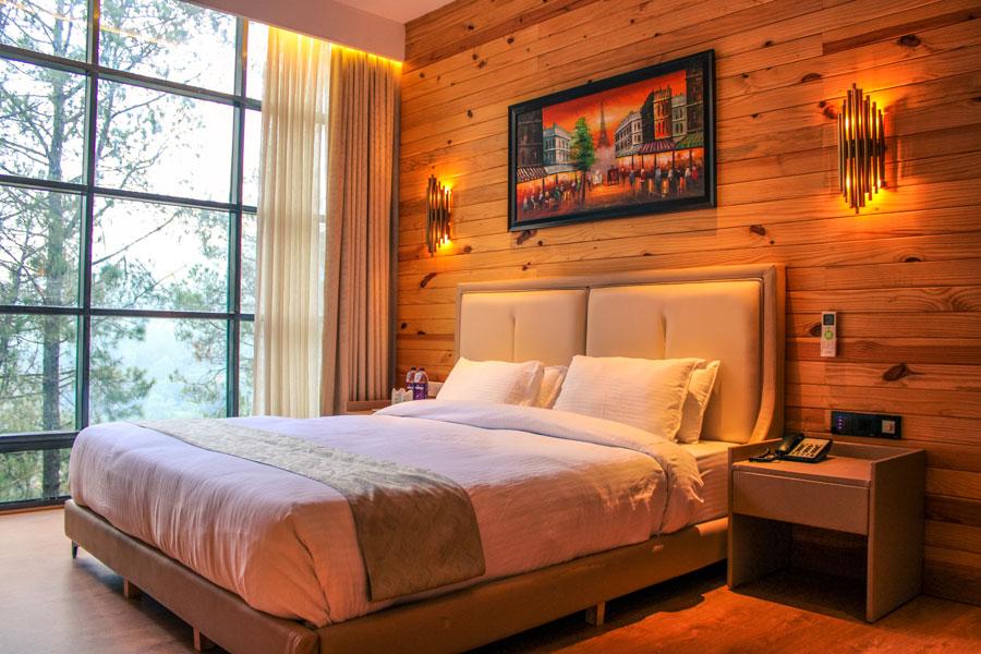 https://live.ipms247.com/booking/book-rooms-kasaulihillsresort