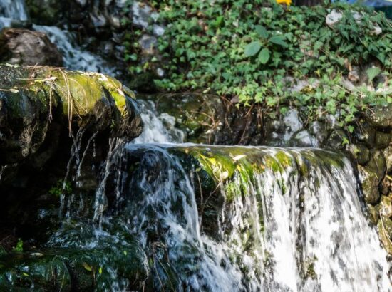 "Hotels in Kasauli, HP – Cozy hotels with scenic views, ideal for a peaceful getaway in the mountains." Let me know if you'd like any changes!