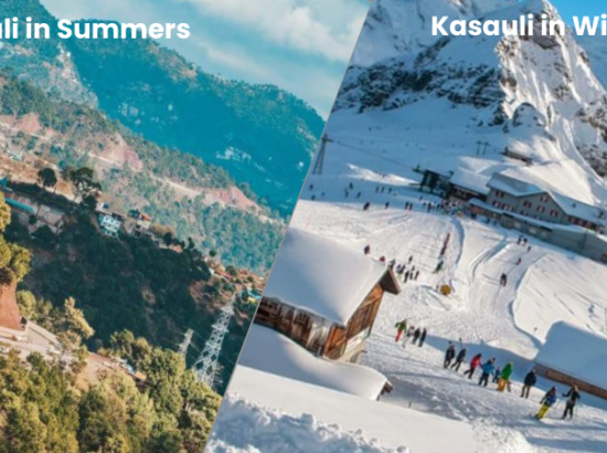 Plan your trip: Discover the best time to visit Kasauli