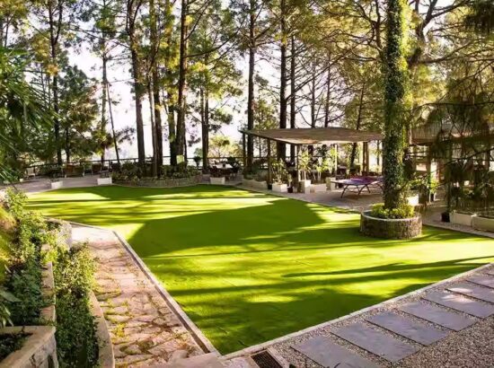 Relax and unwind at hotels in Kasauli with swimming pools