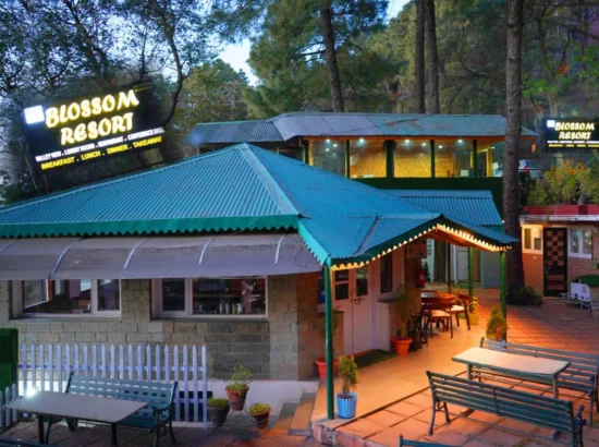 Resorts in Kasauli Near Mall Road: