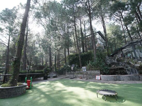 kasauli-hills-resort-best-multi-cuisine-restaurant-brook-and-pines-amidst-nature-and-magnificent-view-around