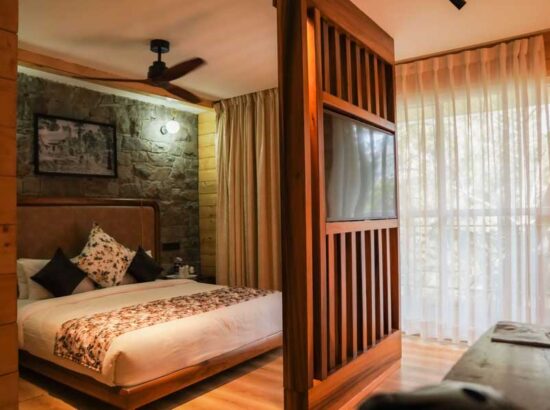 kasauli-hills-resort-pine-view-semi-premium-cottage-luxurious-stay-experience