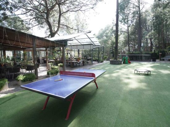 kasauli-hills-resort-restaurant-outdoor-game-area-brook-and-pines