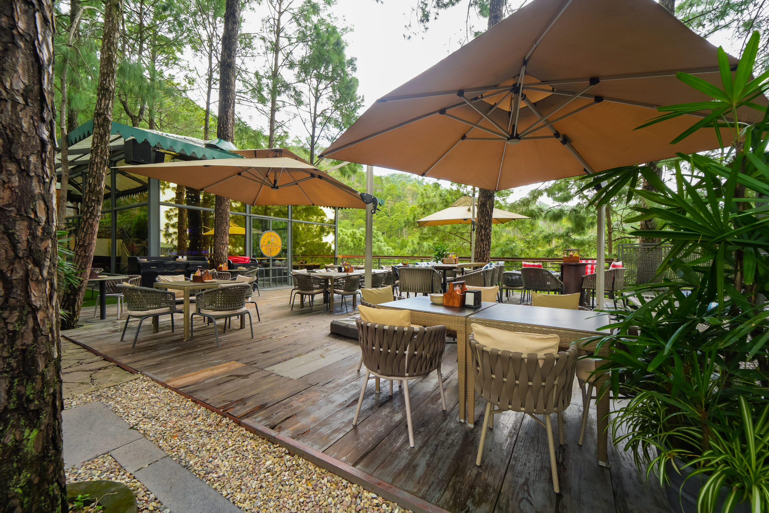 new year party in kasauli hills